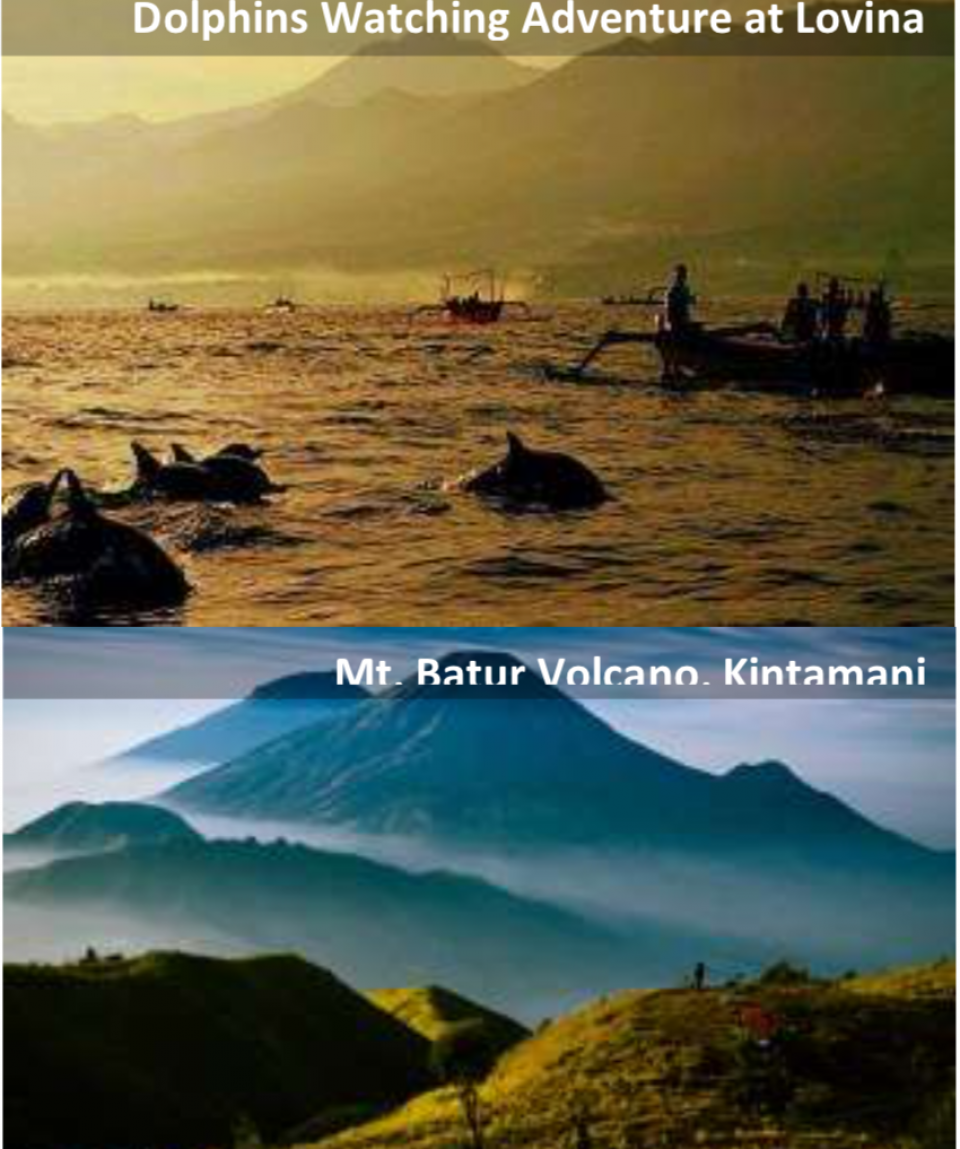 4 Days 3 Nights Bali, Pandawa Beach, Mt. Batur Volcano, Wanagiri Hidden Hill, Tanah Lot, Lovina Beach, Dolphins Watching Adventure (FREE Private Tour, T-Shirt)